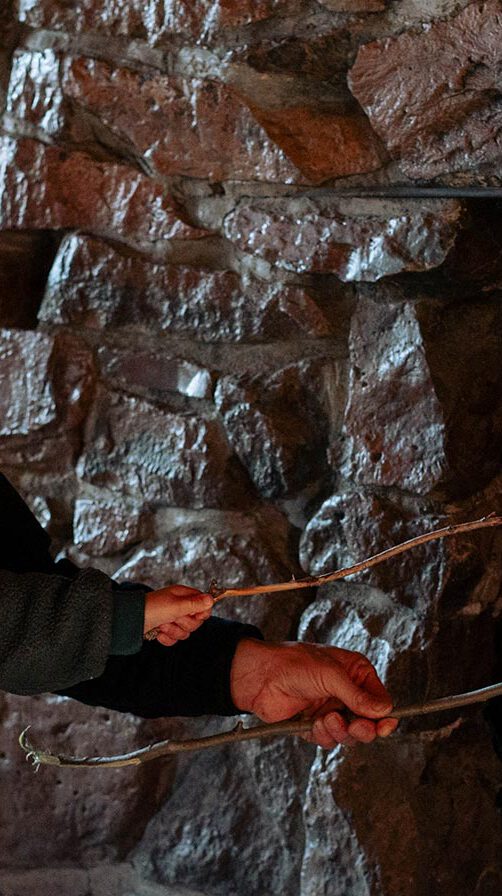 Dad roasting marshmallows with his kids