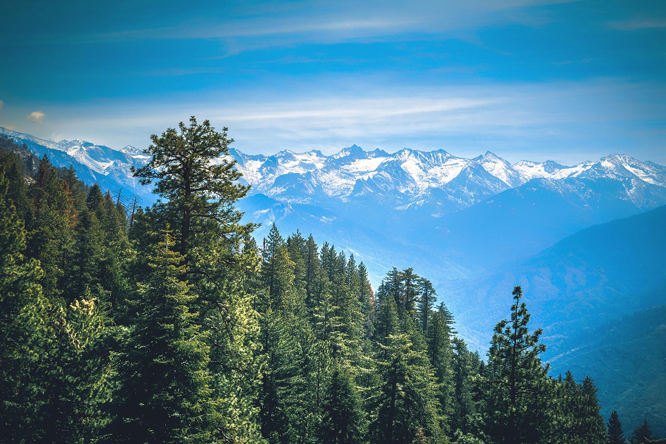 Sierra Club Membership Clair Tappaan Lodge Official Site